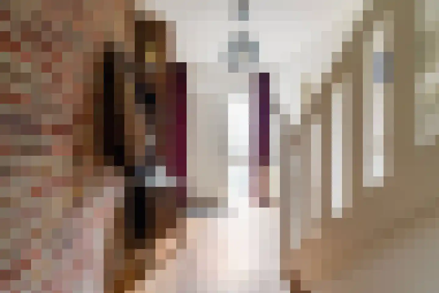 Draaiboom 2 Liempde thumbnail 8