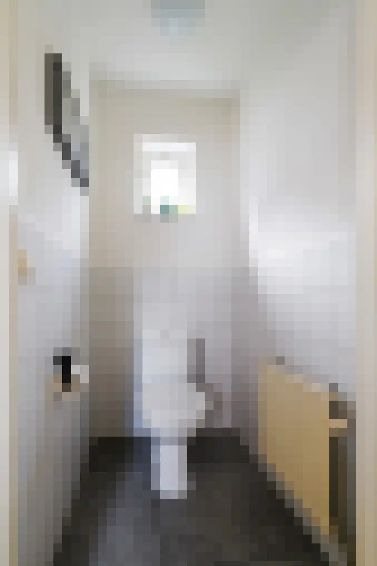 Draaiboom 2 Liempde thumbnail 9