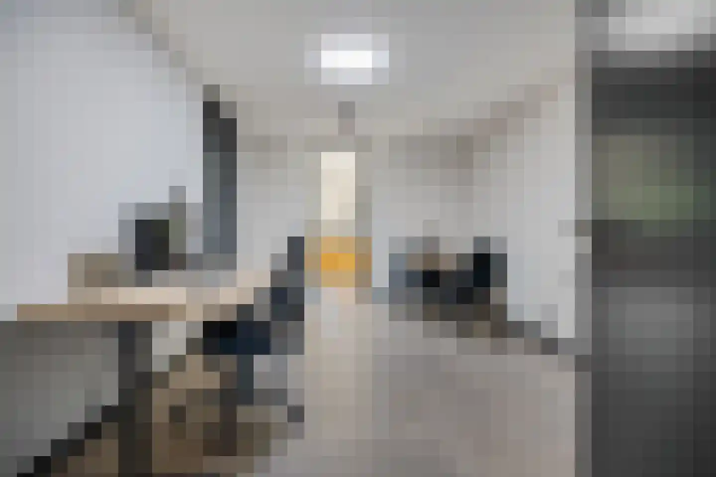 Draaiboom 51 Lage Mierde thumbnail 10