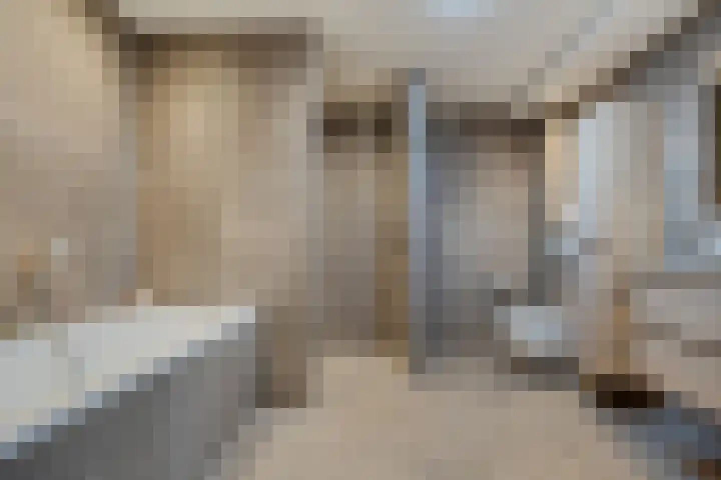 Draaiboom 51 Lage Mierde thumbnail 16