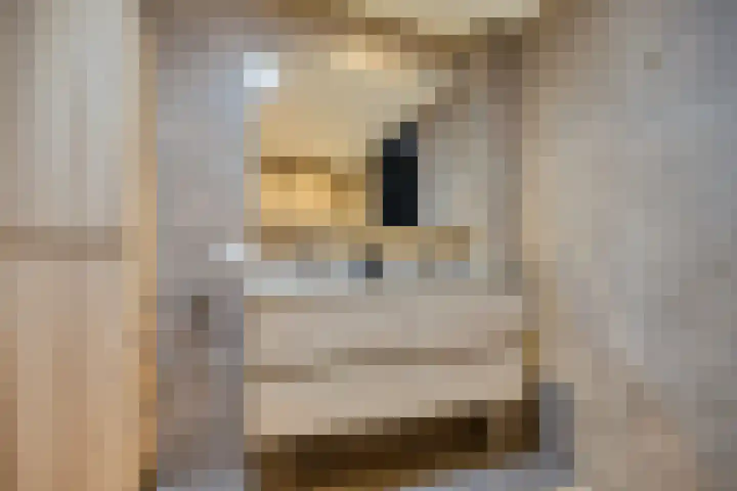 Draaiboom 51 Lage Mierde thumbnail 17