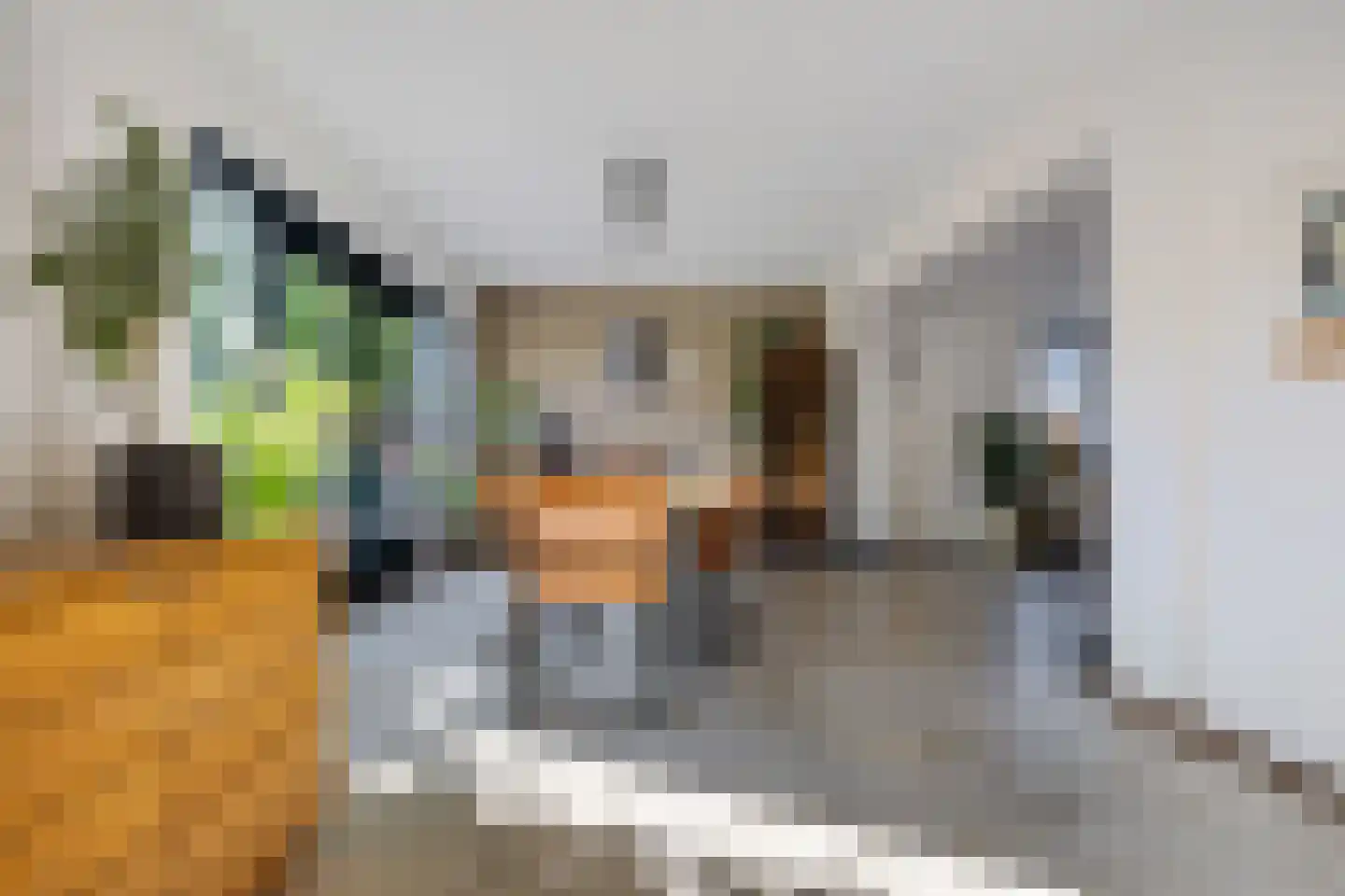 Draaiboom 51 Lage Mierde thumbnail 19