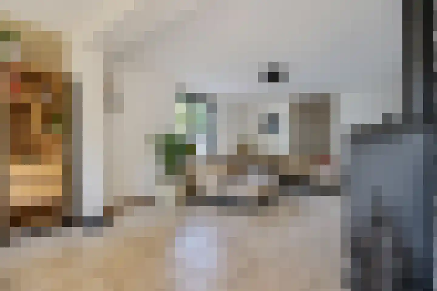 Draaiboom 51 Lage Mierde thumbnail 20