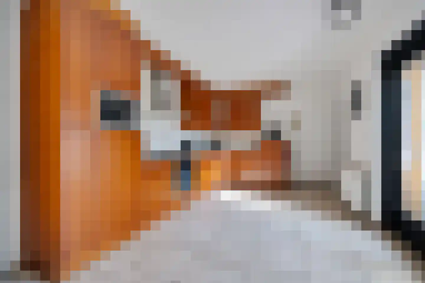 Draaiboom 51 Lage Mierde thumbnail 24