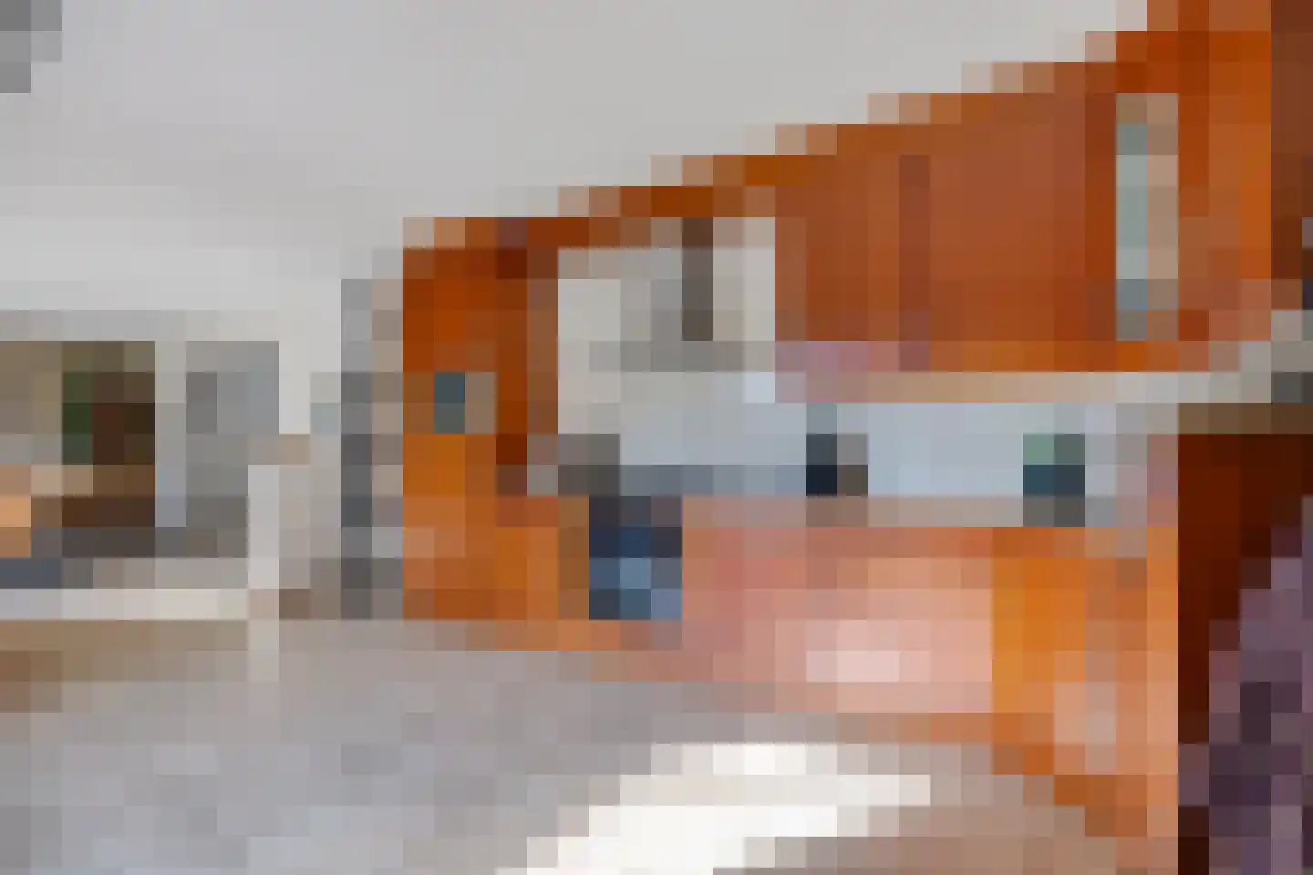 Draaiboom 51 Lage Mierde thumbnail 26