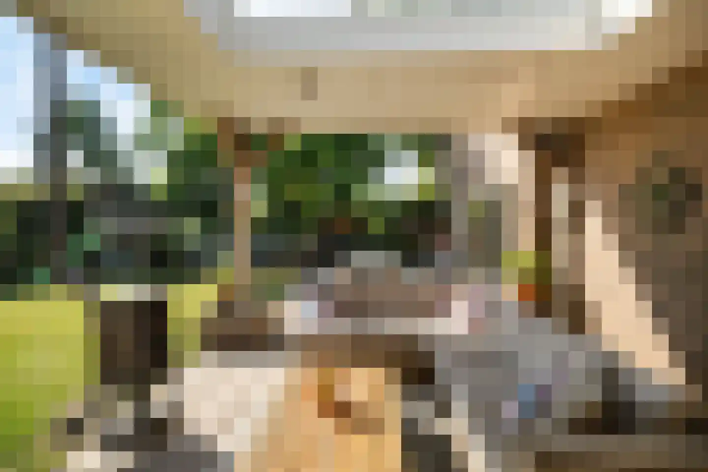 Draaiboom 51 Lage Mierde thumbnail 28