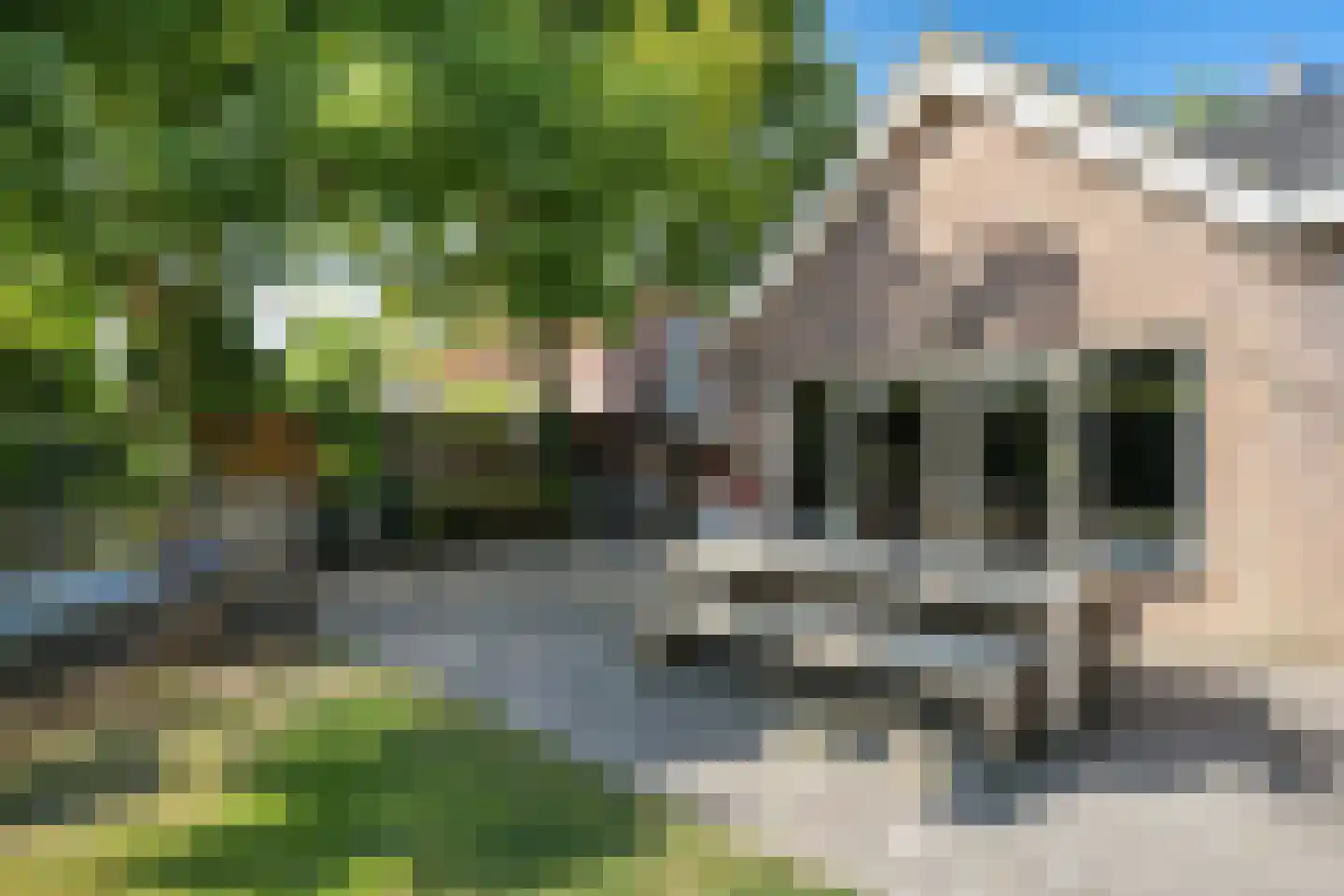 Draaiboom 51 Lage Mierde thumbnail 32