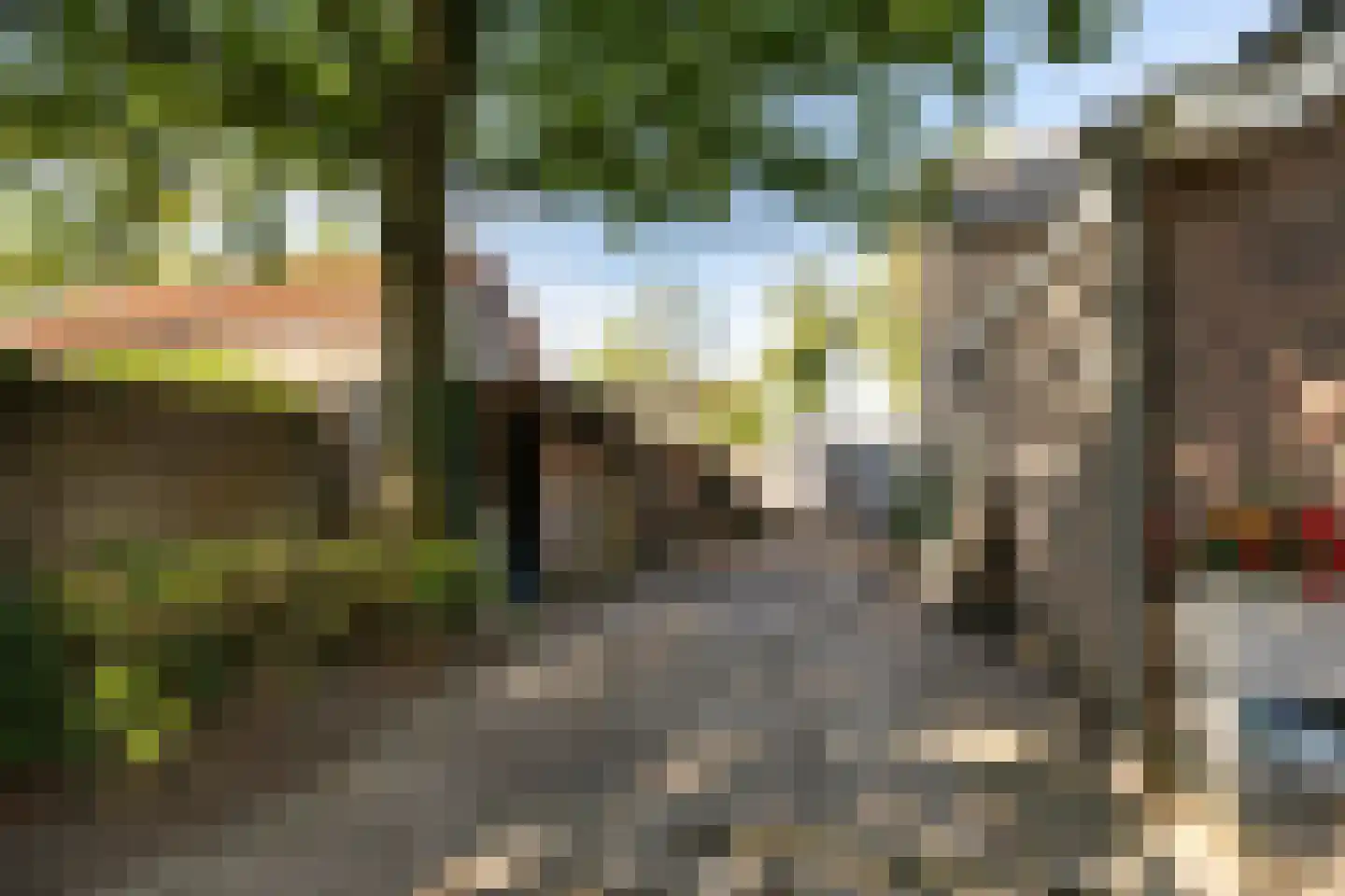Draaiboom 51 Lage Mierde thumbnail 33