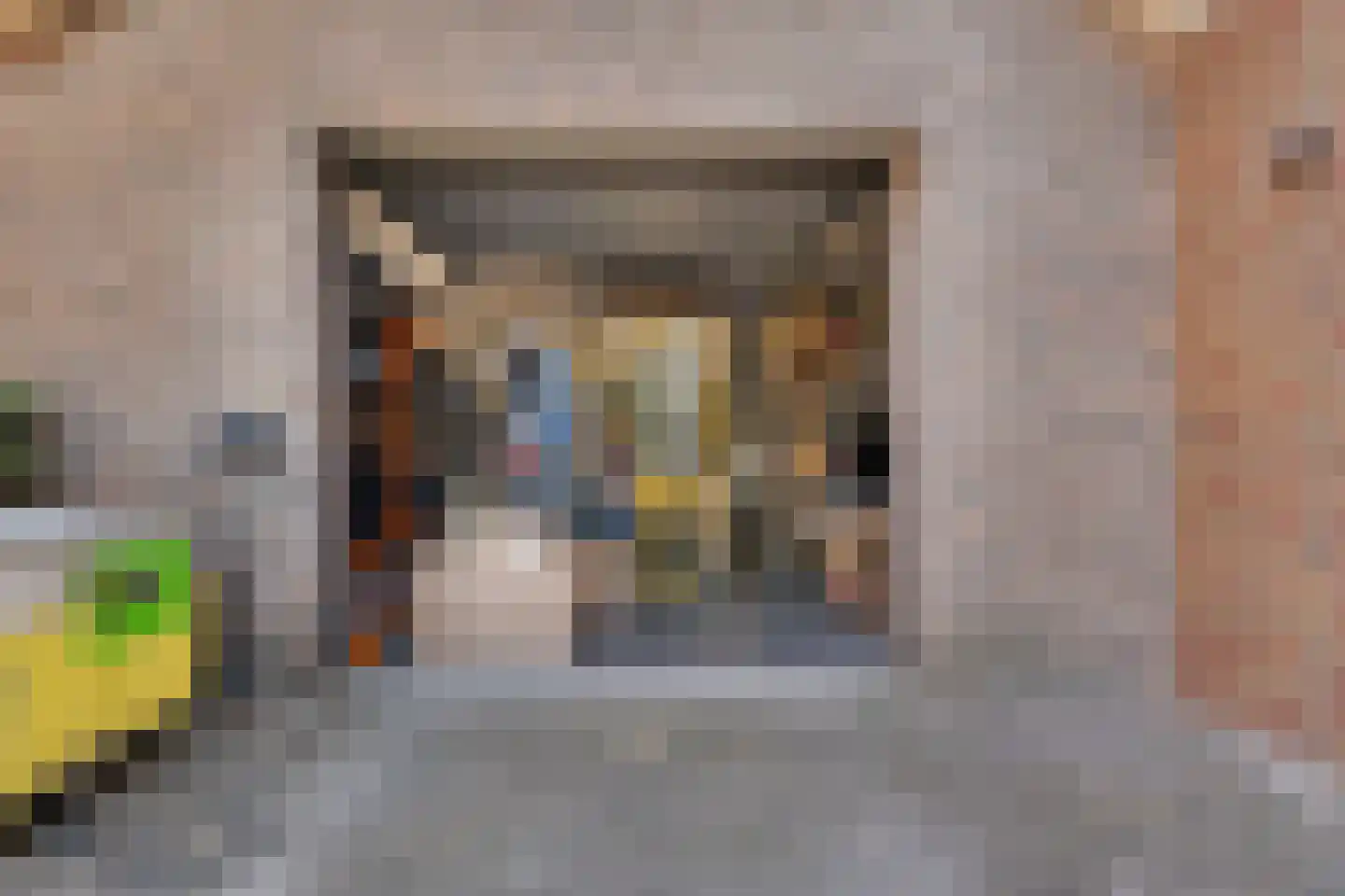 Draaiboom 51 Lage Mierde thumbnail 5