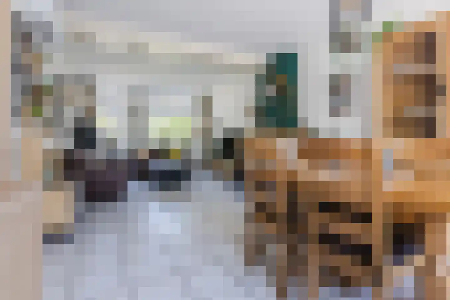 Draaiboom 6 Lage Mierde thumbnail 11