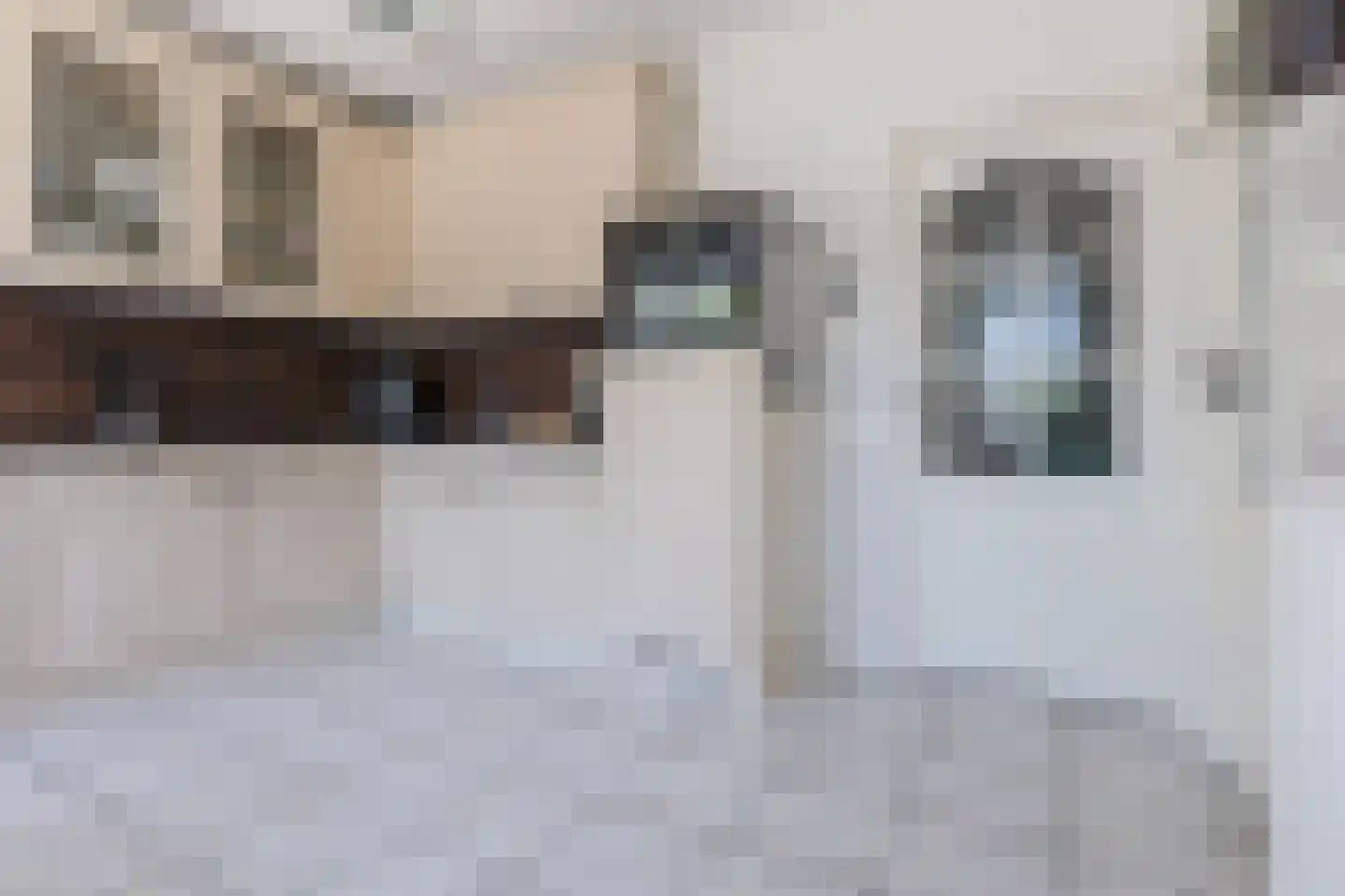 Draaiboom 6 Lage Mierde thumbnail 13