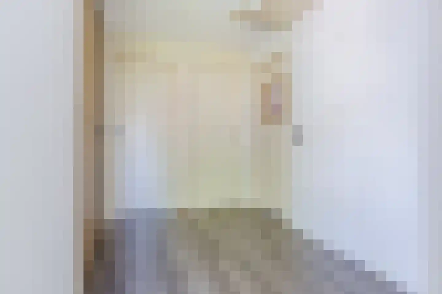 Draaiboom 6 Lage Mierde thumbnail 17