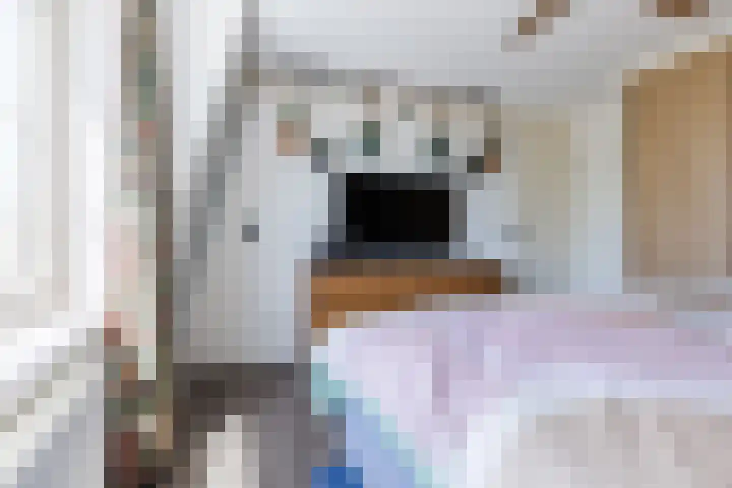 Draaiboom 6 Lage Mierde thumbnail 21