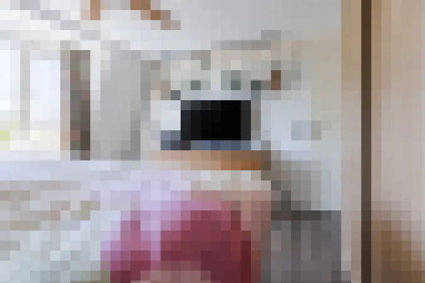 Draaiboom 6 Lage Mierde thumbnail 22