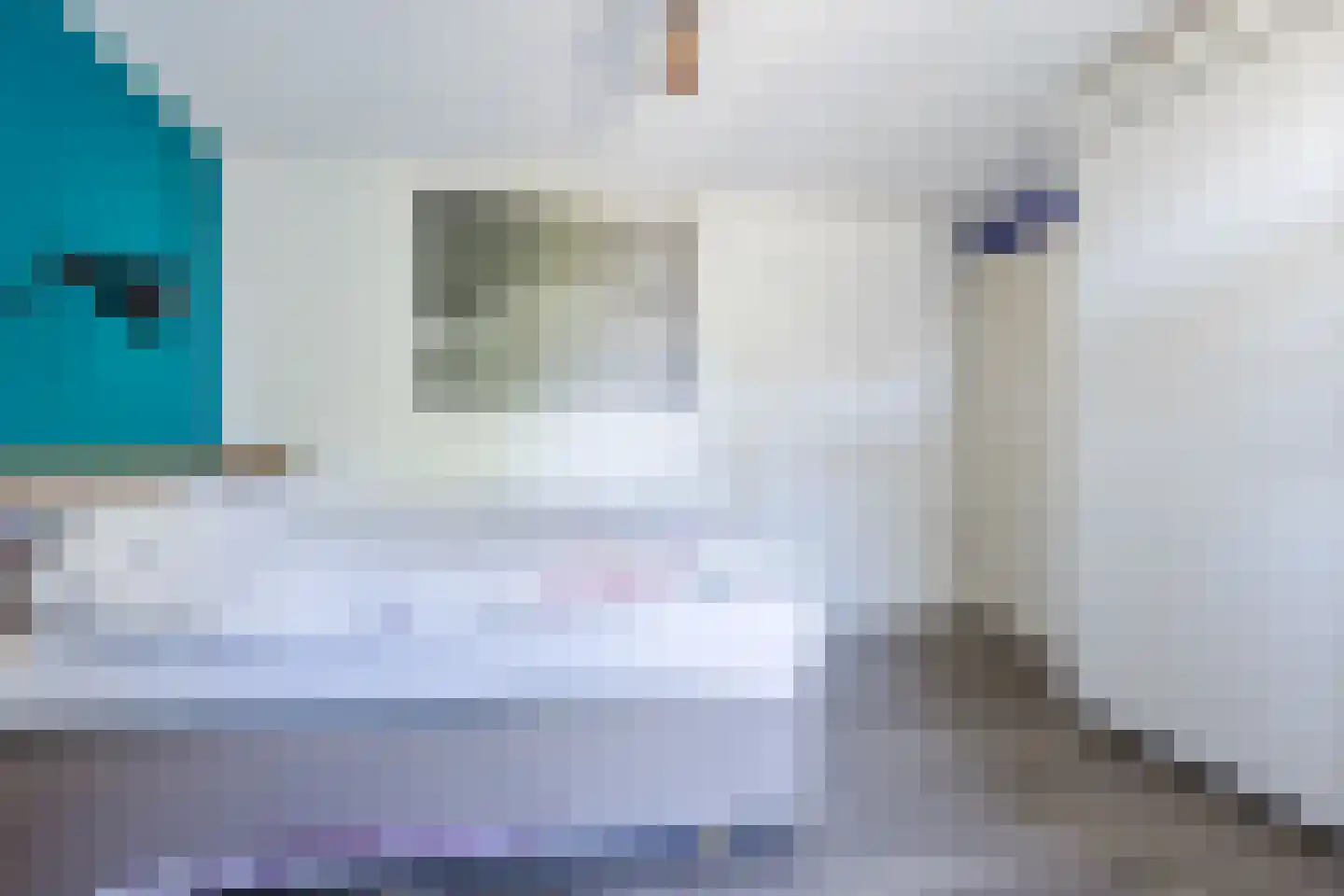 Draaiboom 6 Lage Mierde thumbnail 24