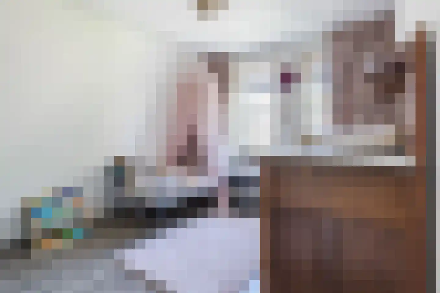 Draaiboom 6 Lage Mierde thumbnail 25