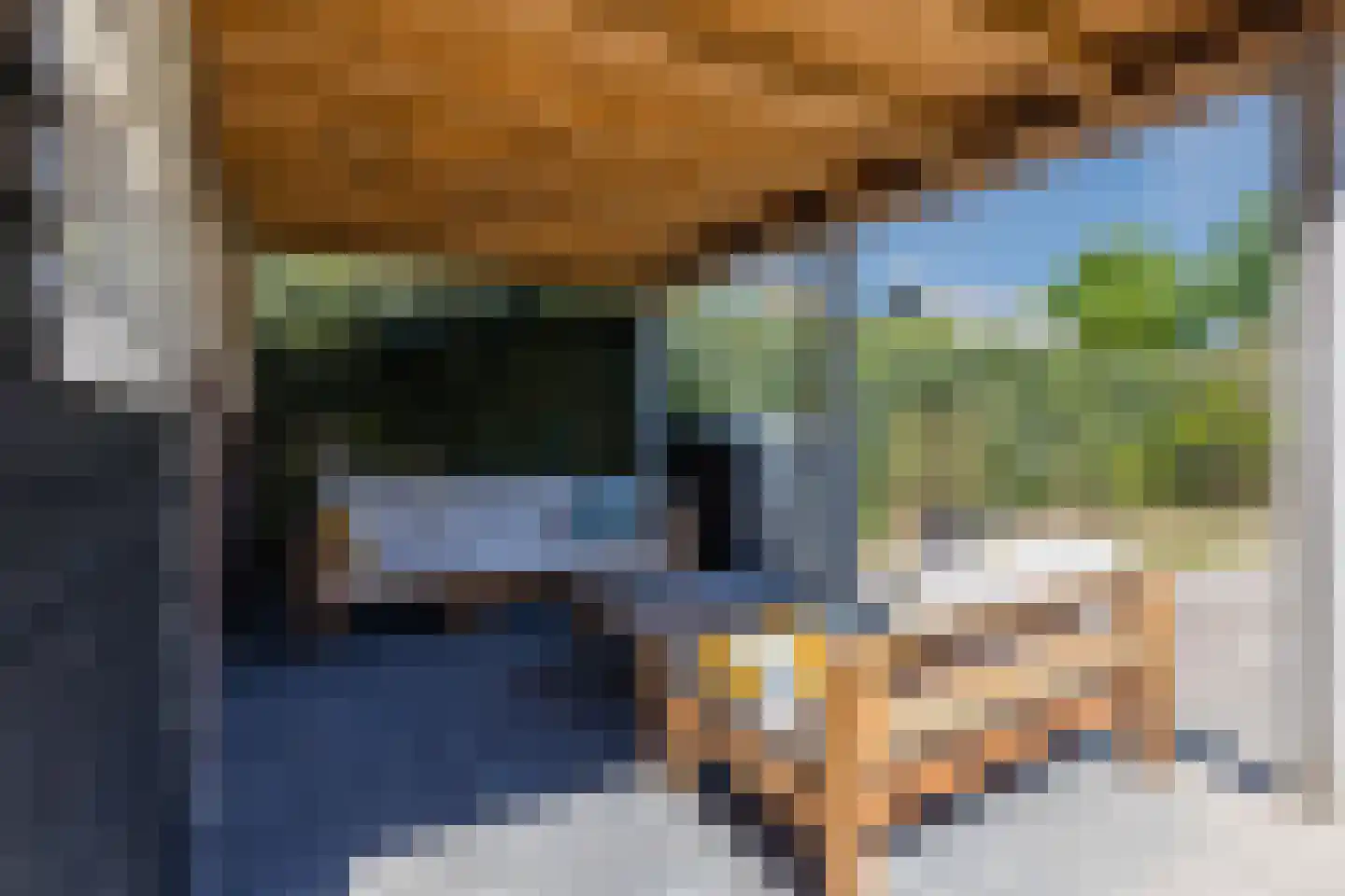 Draaiboom 6 Lage Mierde thumbnail 35