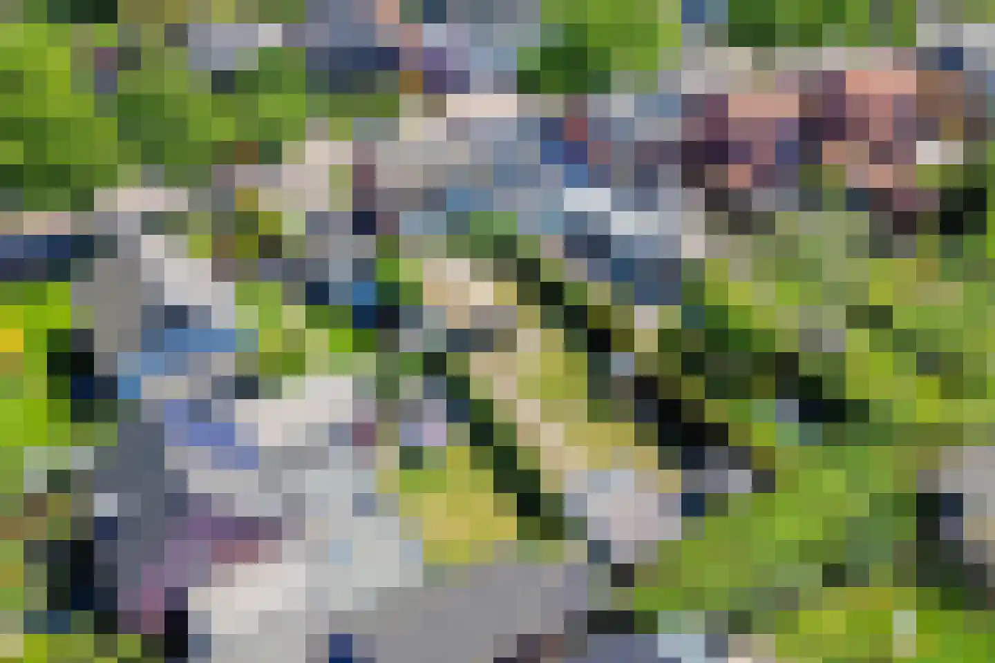 Draaiboom 6 Lage Mierde thumbnail 39