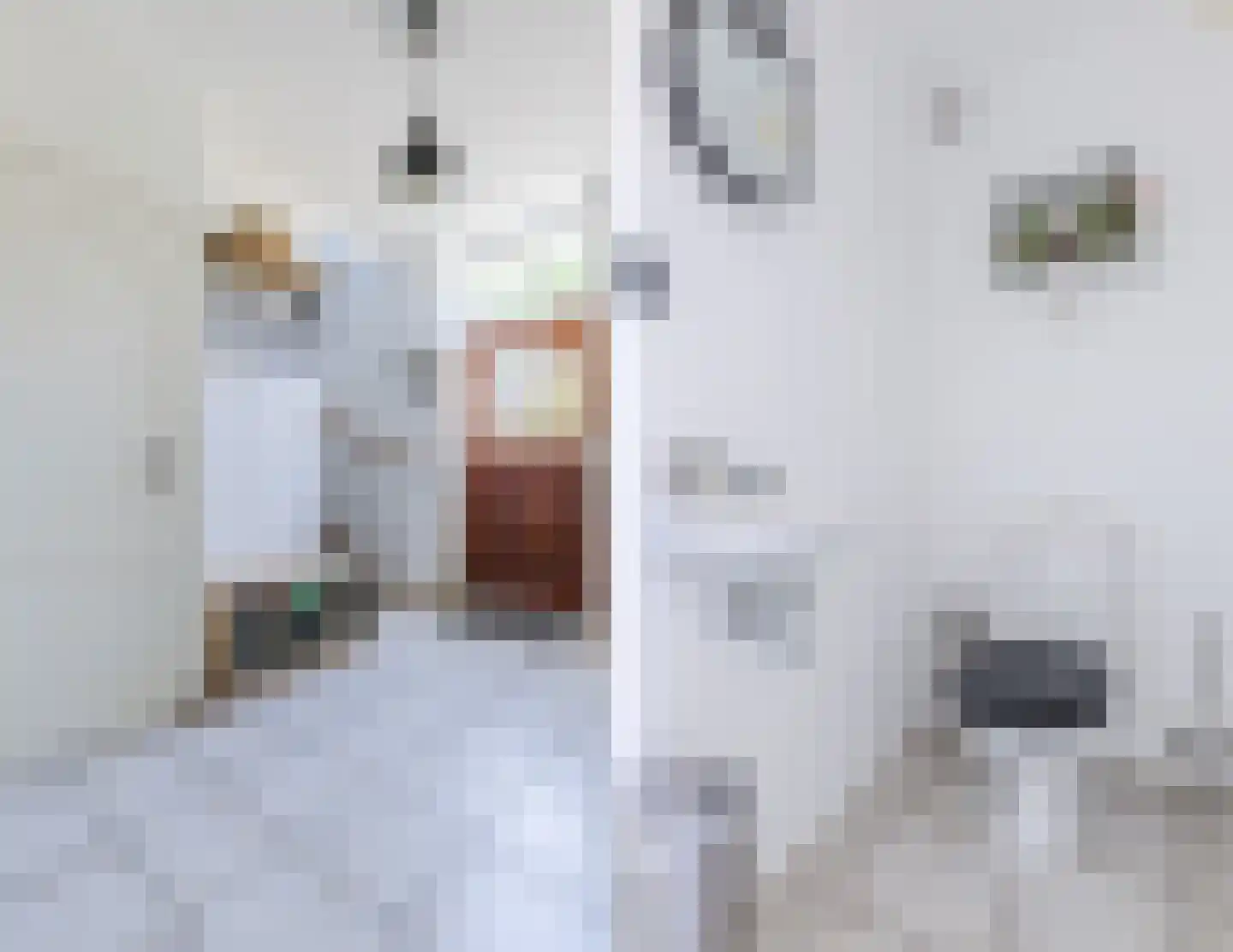 Draaiboom 6 Lage Mierde thumbnail 4