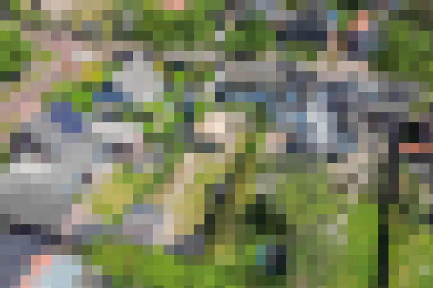 Draaiboom 6 Lage Mierde thumbnail 40
