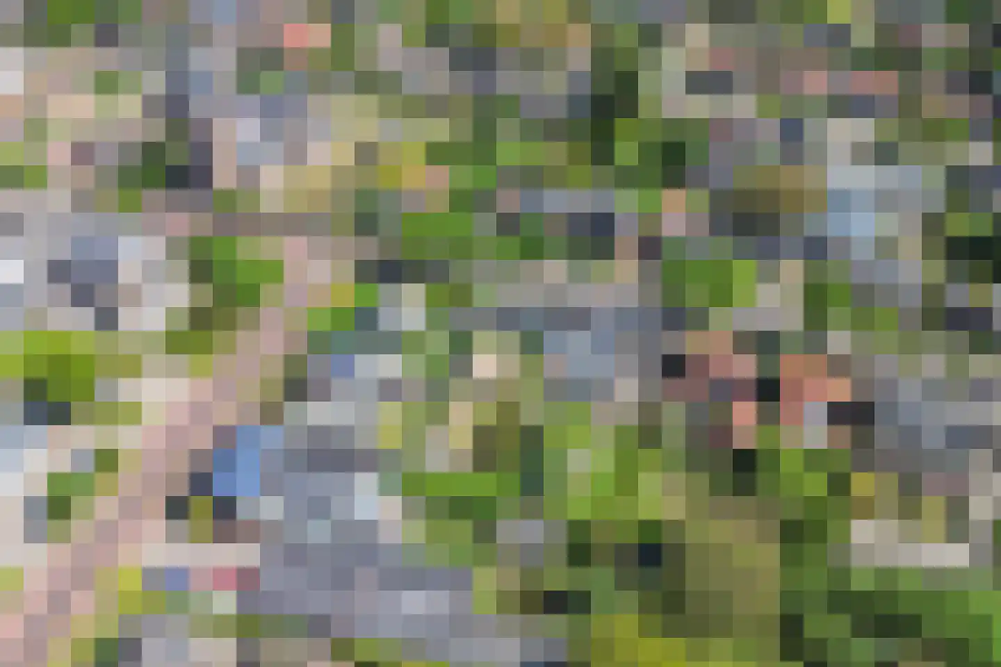Draaiboom 6 Lage Mierde thumbnail 41