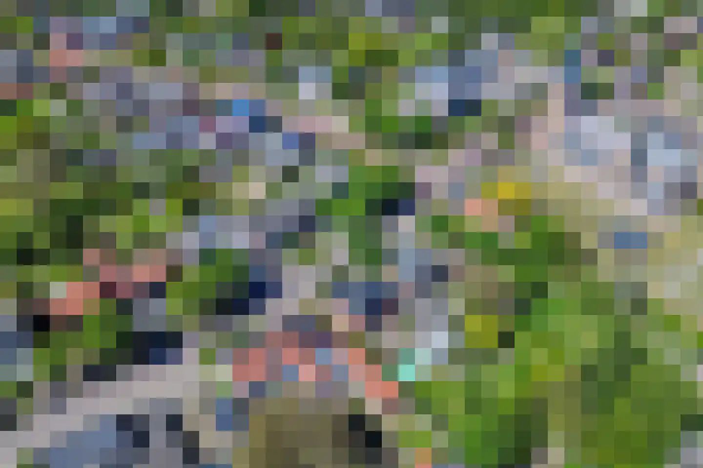 Draaiboom 6 Lage Mierde thumbnail 42