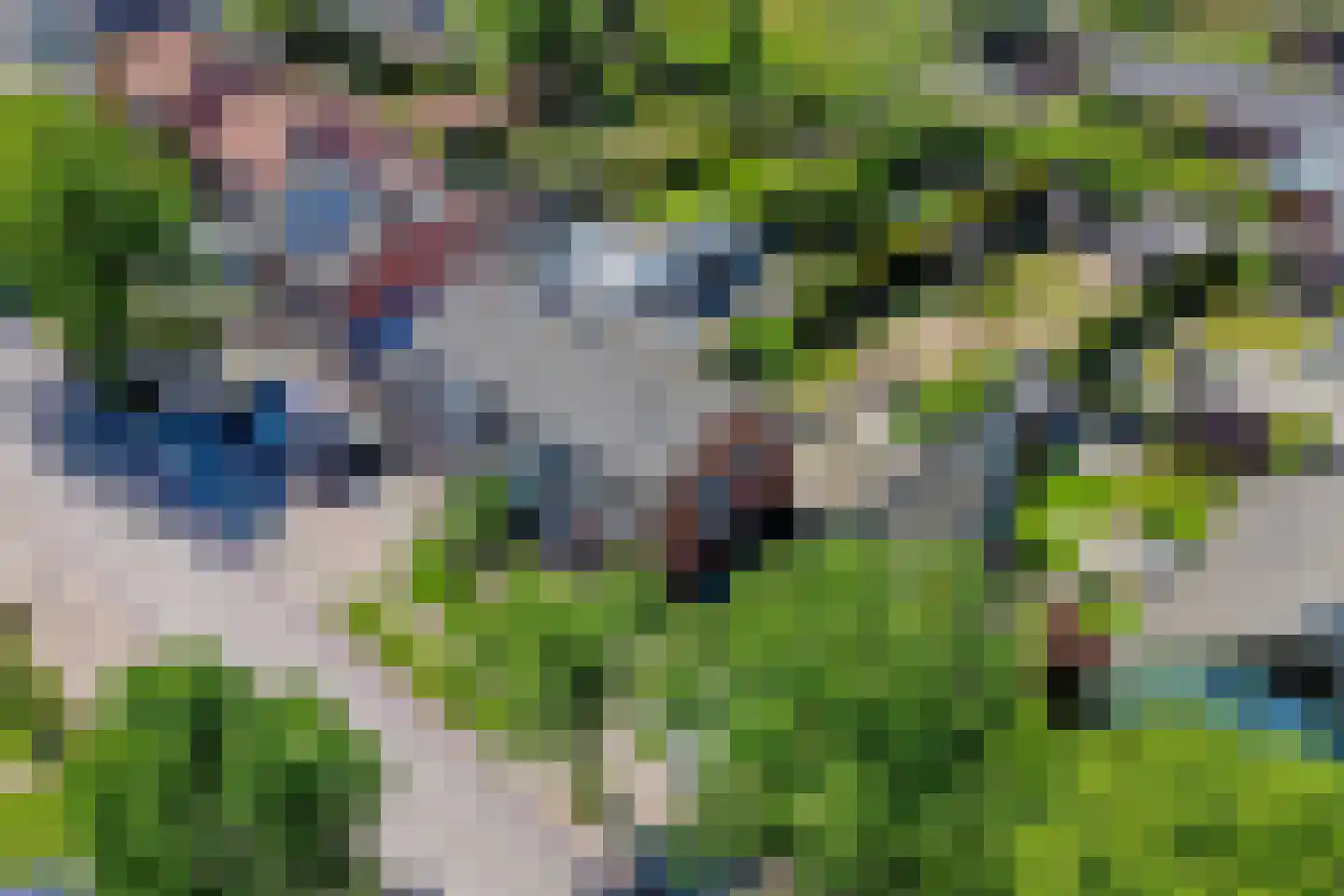 Draaiboom 6 Lage Mierde thumbnail 44