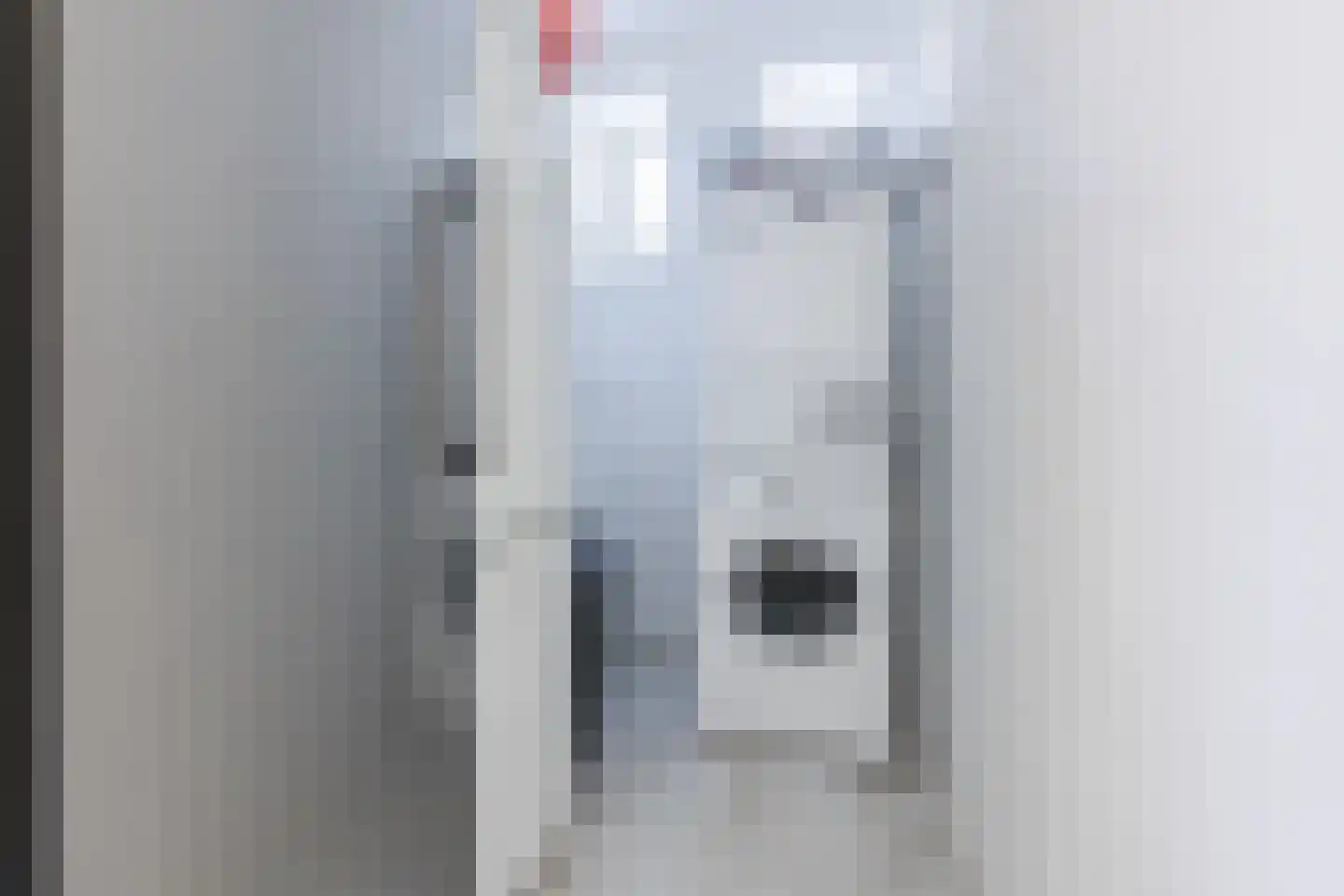 Draaiboom 6 Lage Mierde thumbnail 5