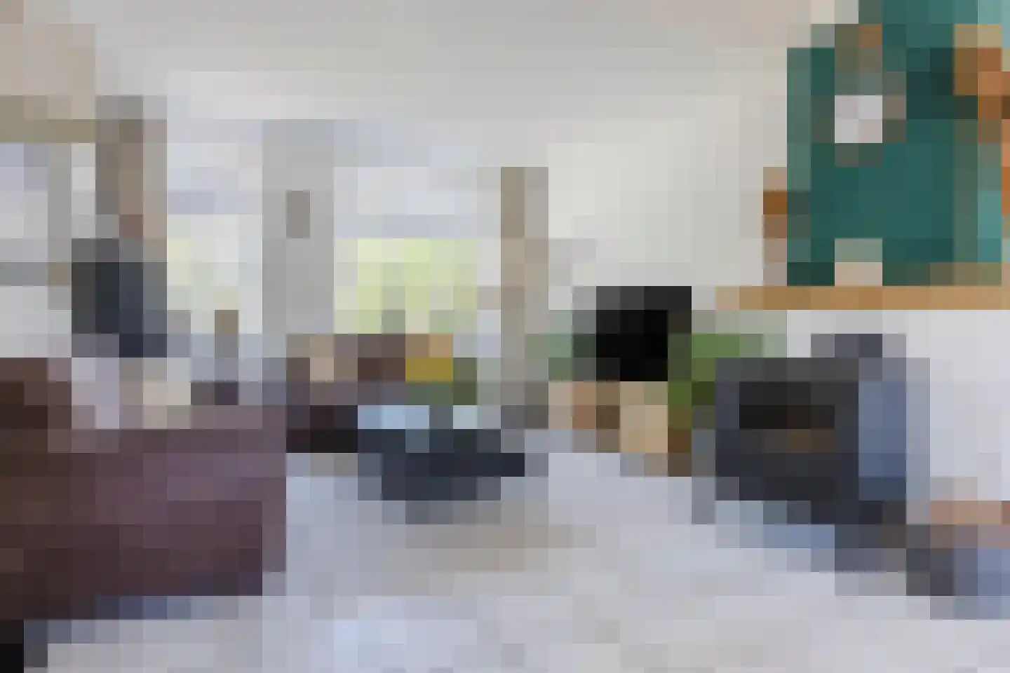 Draaiboom 6 Lage Mierde thumbnail 6