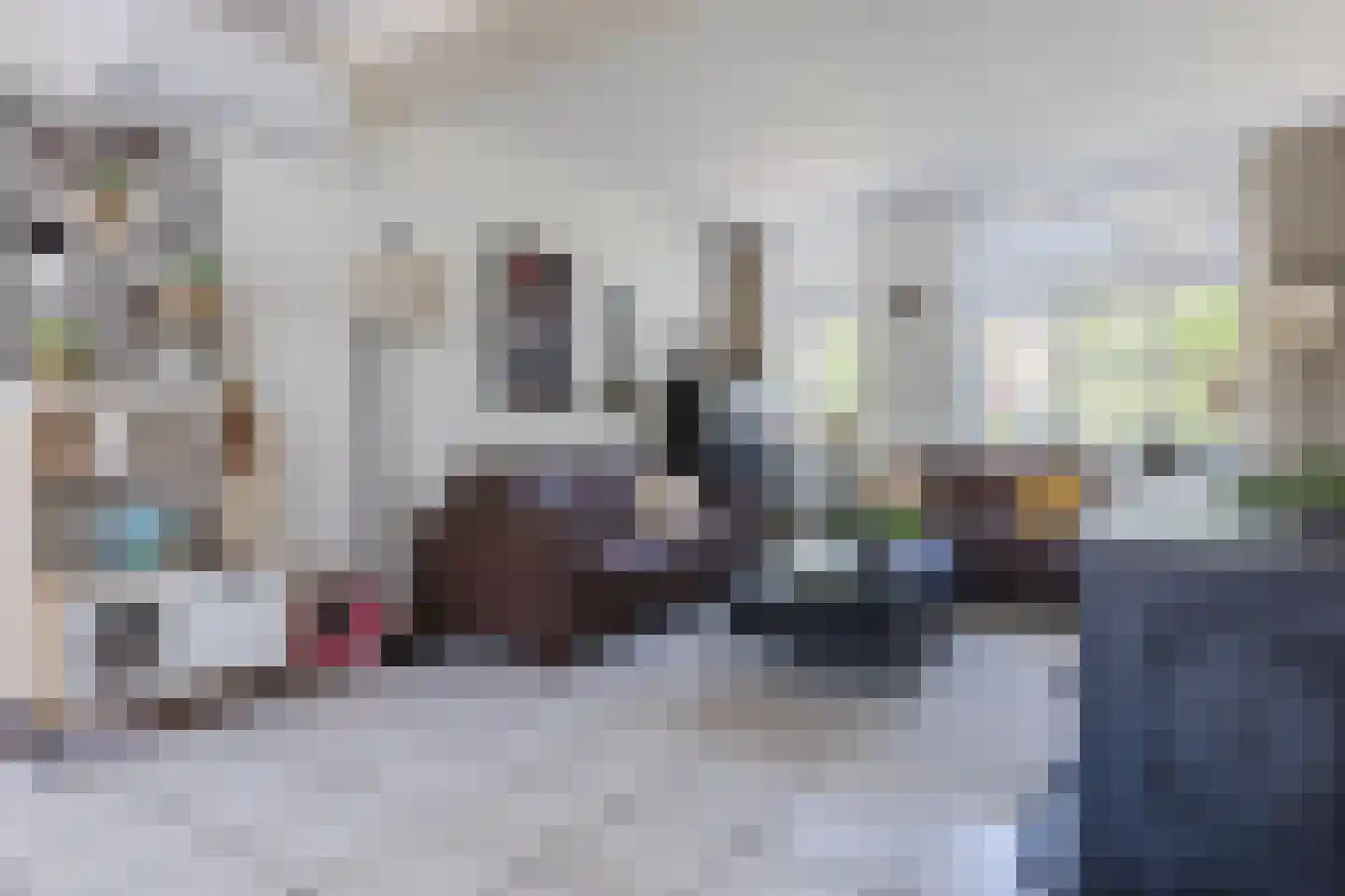 Draaiboom 6 Lage Mierde thumbnail 7