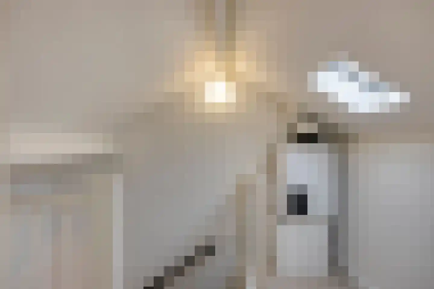 Draaiboomstraat 14 Veldhoven thumbnail 31