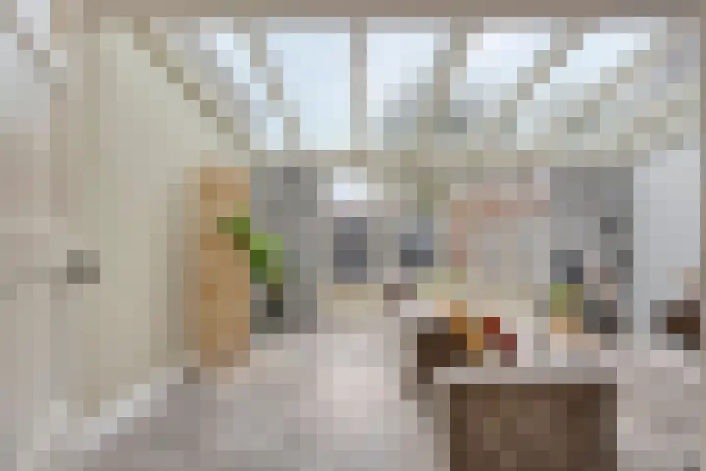 Draaiboomstraat 14 Veldhoven thumbnail 6
