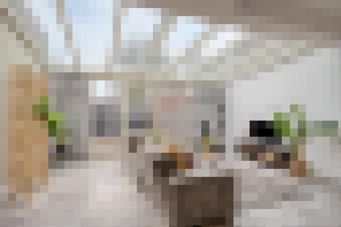 Draaiboomstraat 14 Veldhoven thumbnail 7