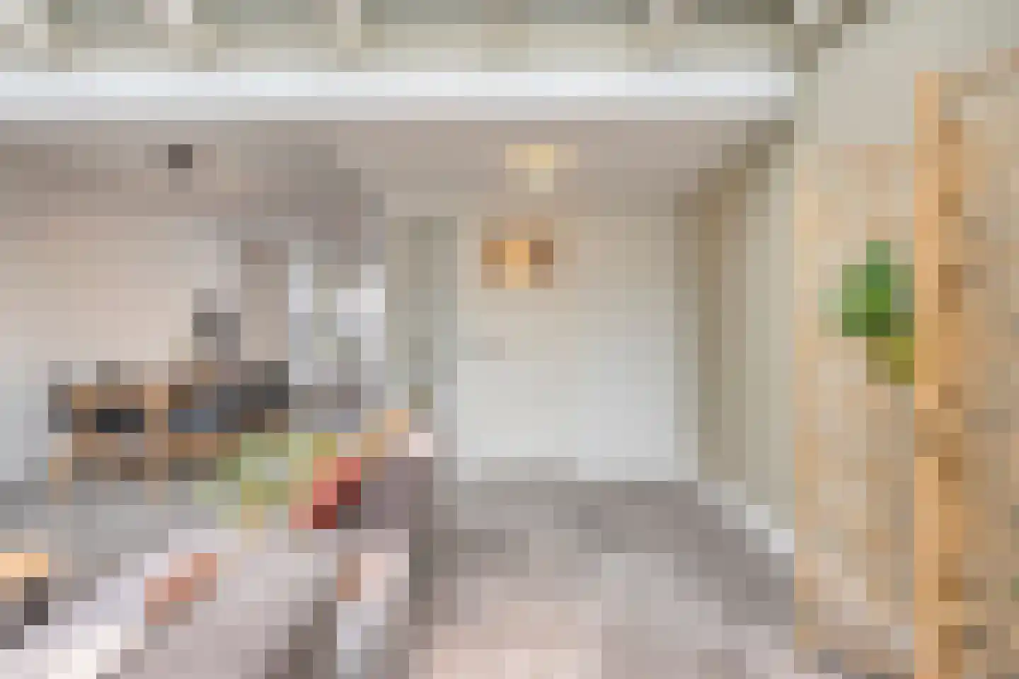 Draaiboomstraat 14 Veldhoven thumbnail 8