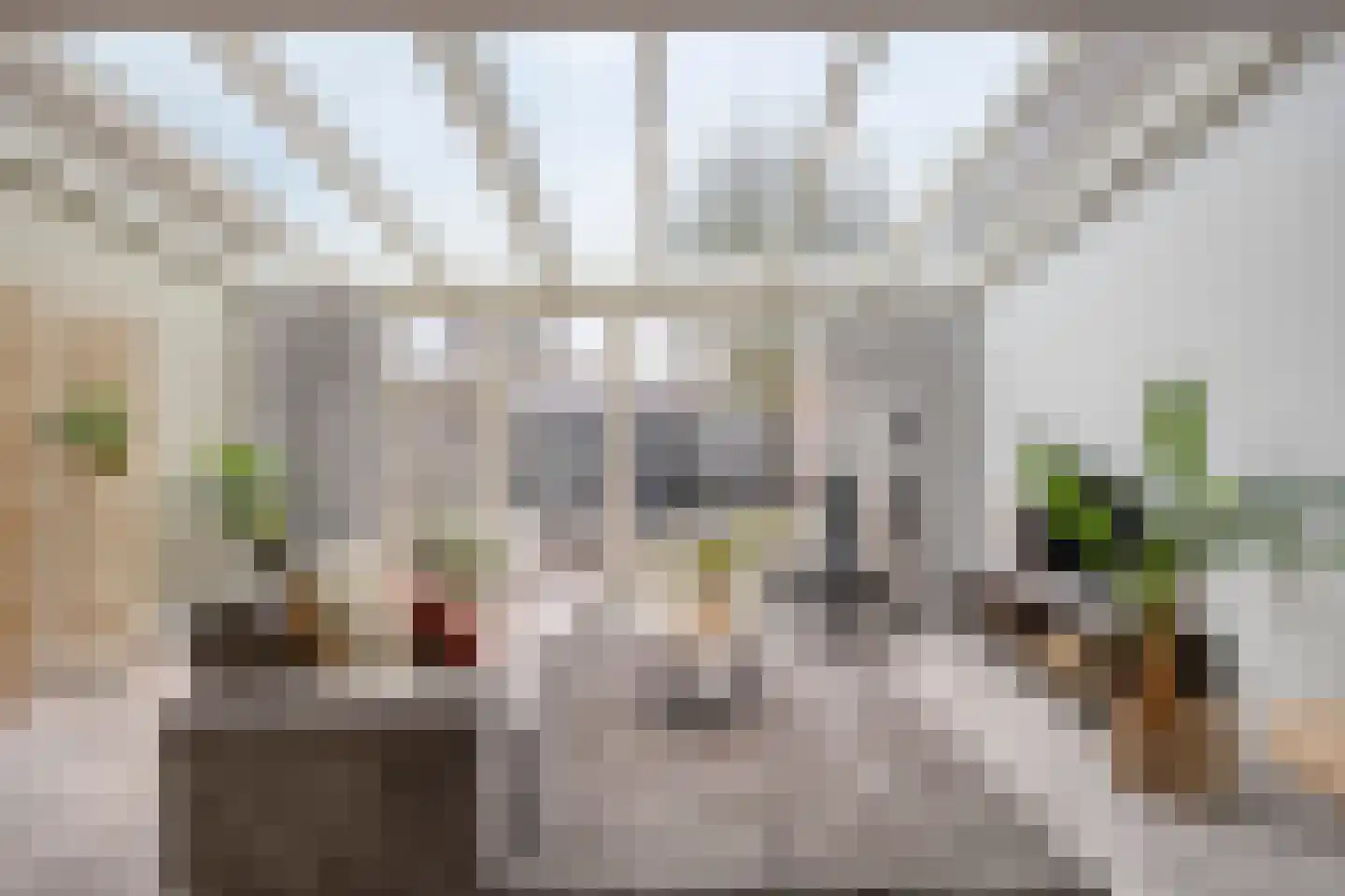 Draaiboomstraat 14 Veldhoven thumbnail 9