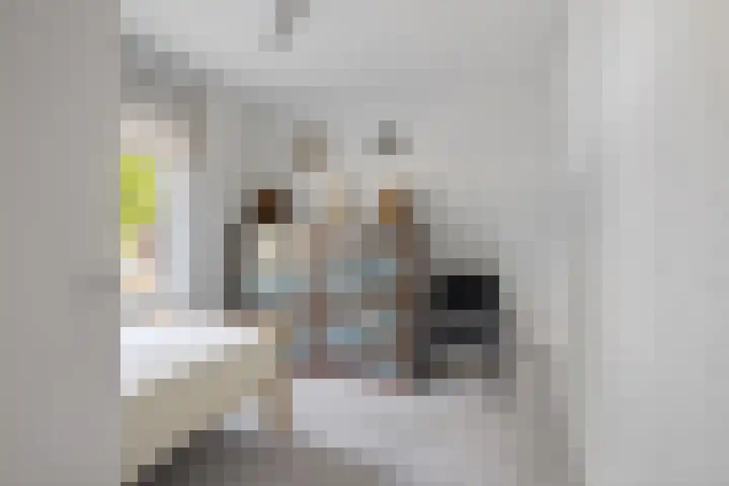 Draaiboomstraat 8 Veldhoven thumbnail 15