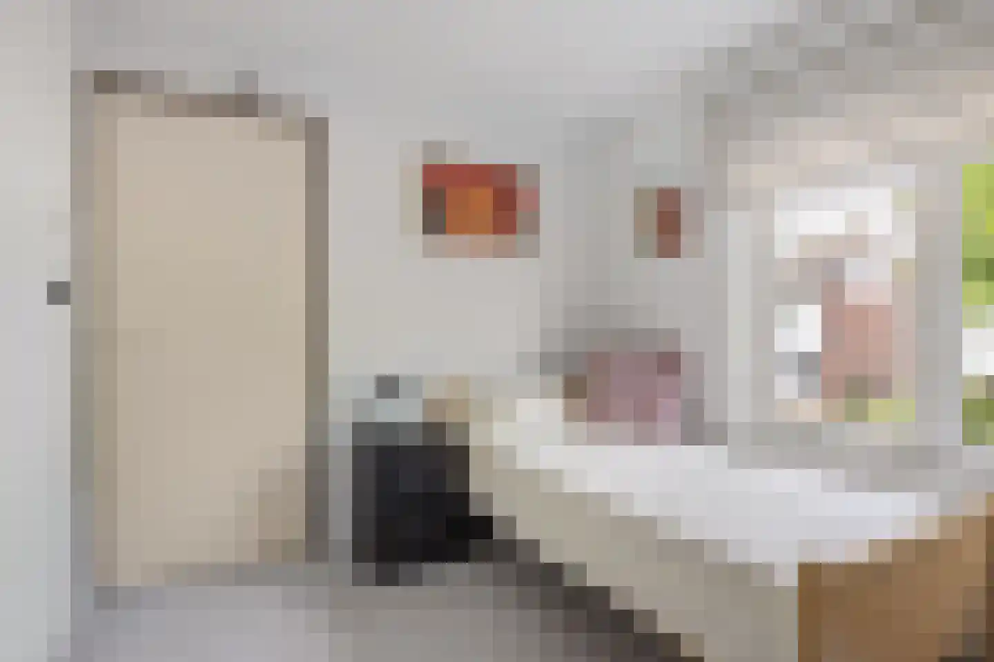 Draaiboomstraat 8 Veldhoven thumbnail 16