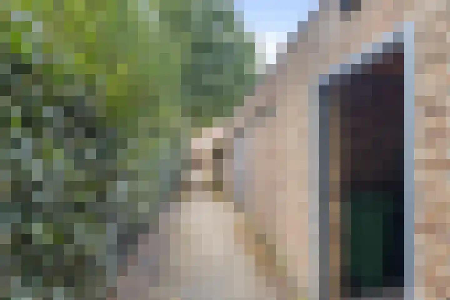 Draaiboomstraat 8 Veldhoven thumbnail 28