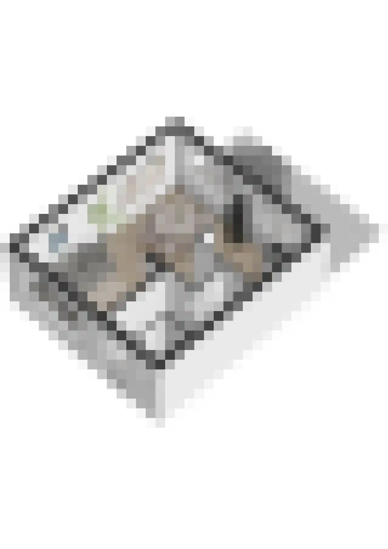 Draaiboomstraat 8 Veldhoven thumbnail 31