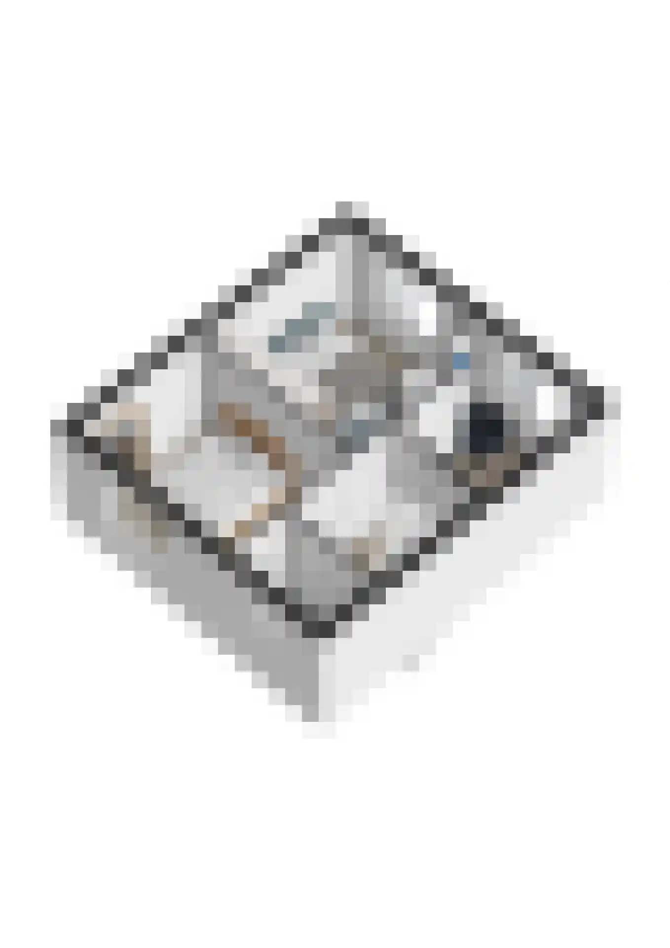 Draaiboomstraat 8 Veldhoven thumbnail 33