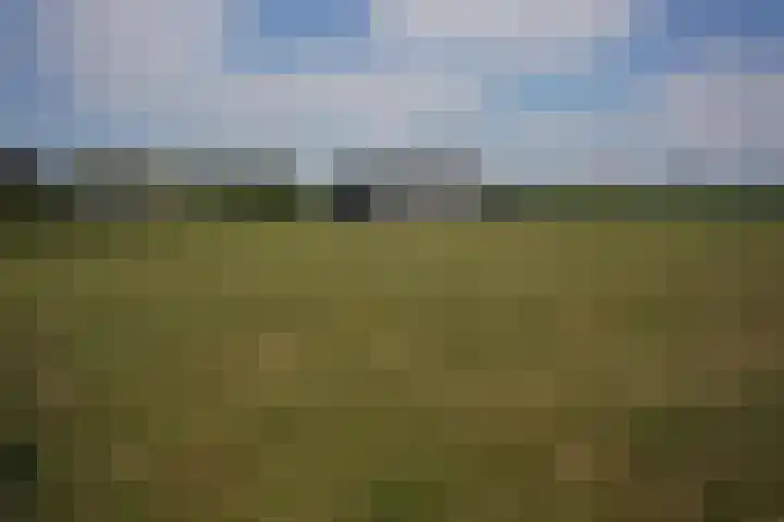Draaibrug 10 Aardenburg thumbnail 33