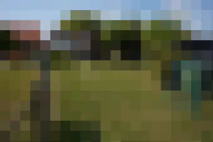 Draaibrug 10 Aardenburg thumbnail 35