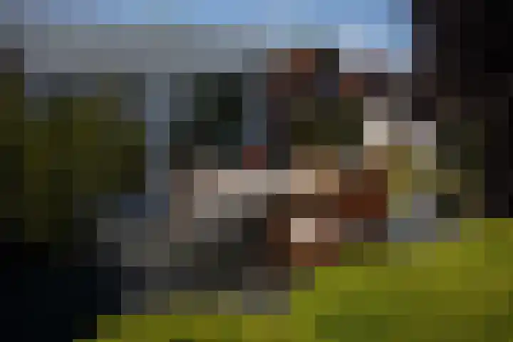 Draaibrug 10 Aardenburg thumbnail 37