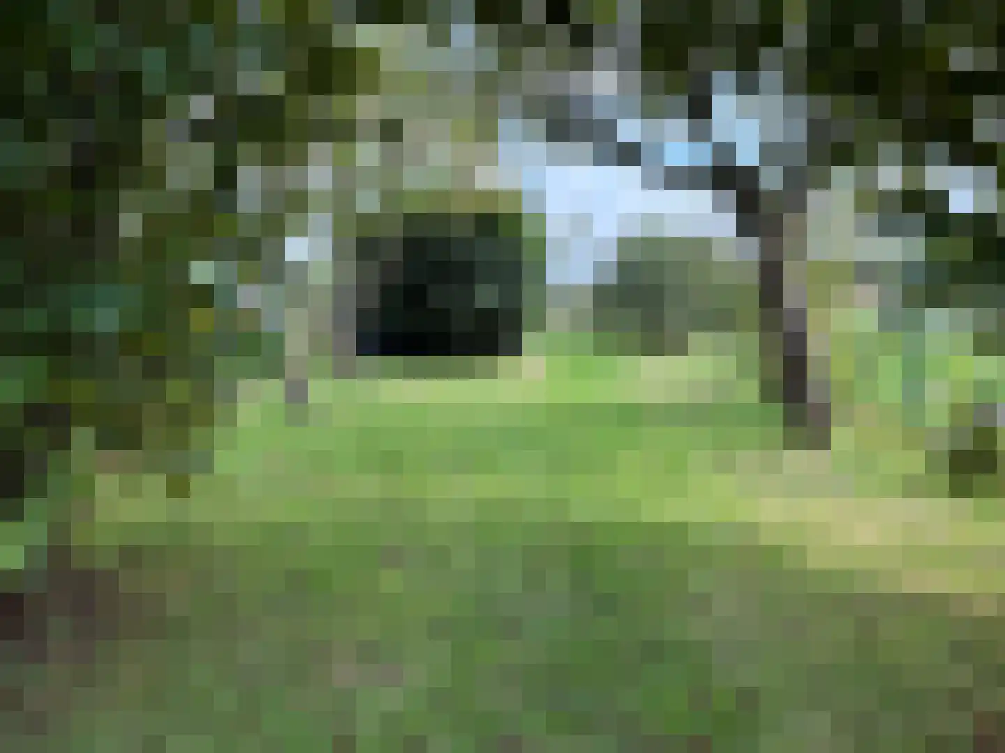 Draaibrug 11 Aardenburg thumbnail 30