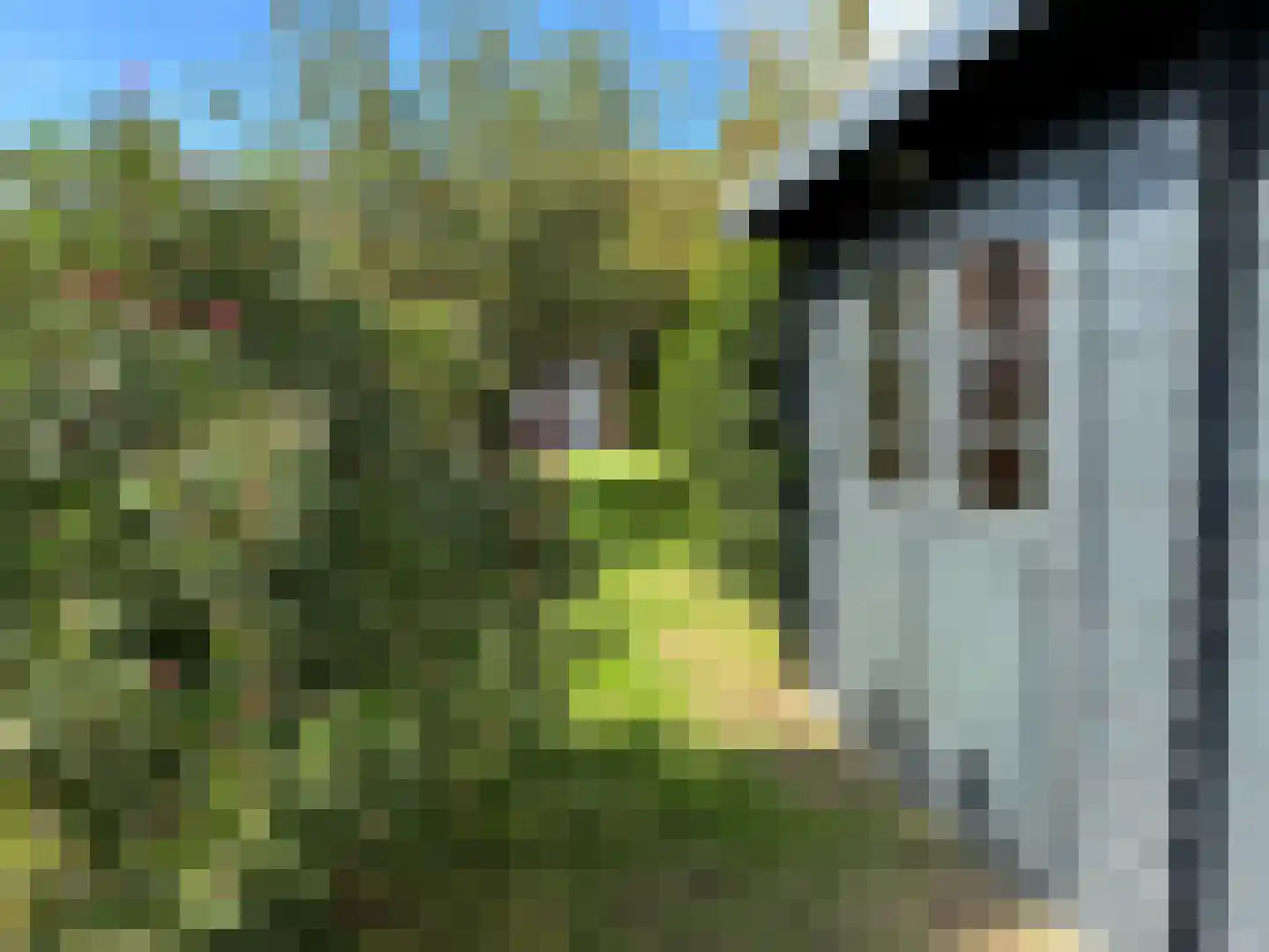 Draaibrug 11 Aardenburg thumbnail 31