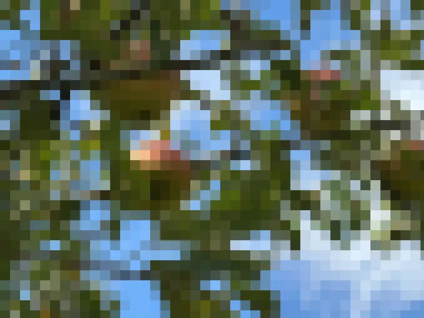 Draaibrug 11 Aardenburg thumbnail 33