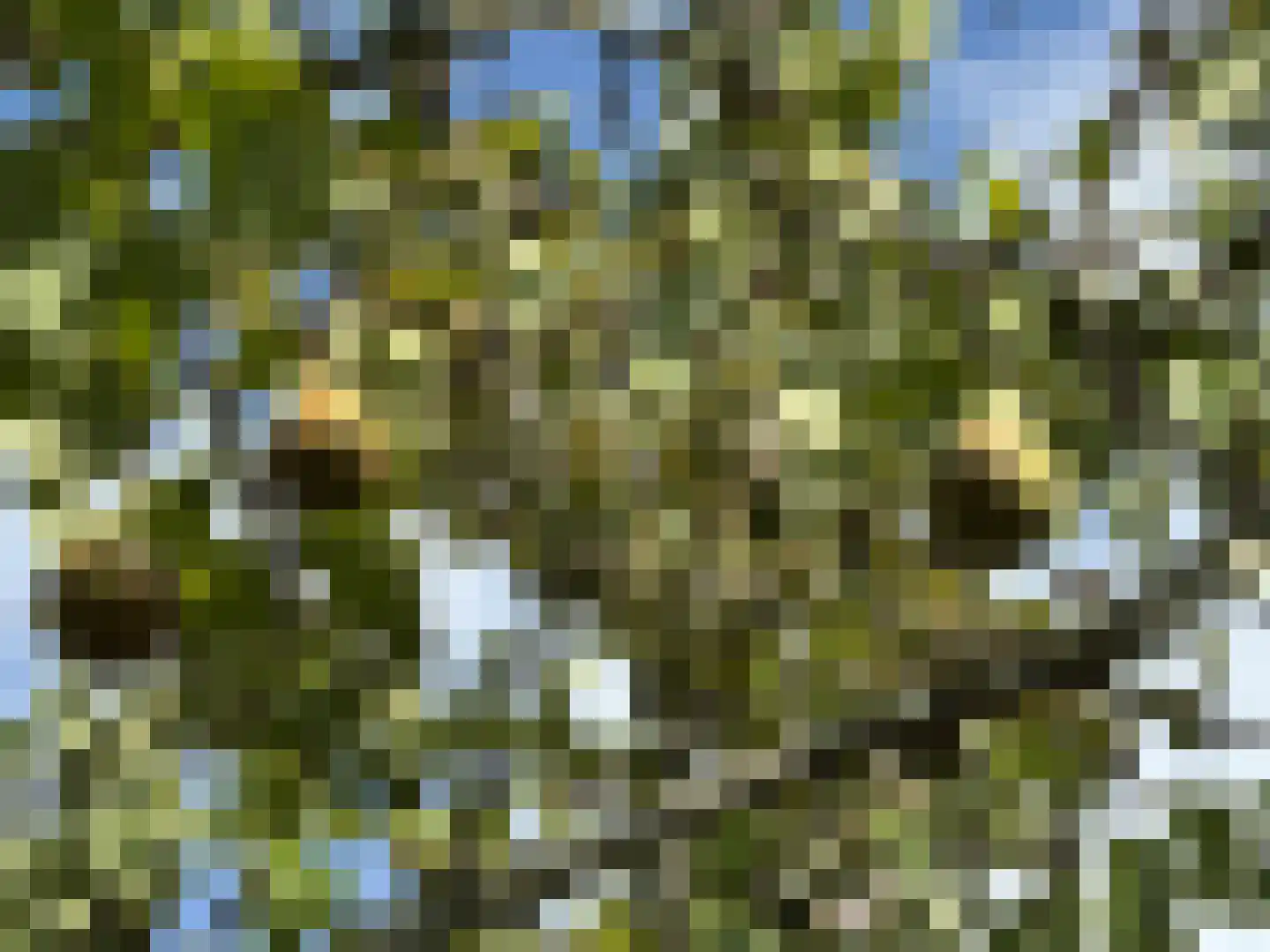 Draaibrug 11 Aardenburg thumbnail 34
