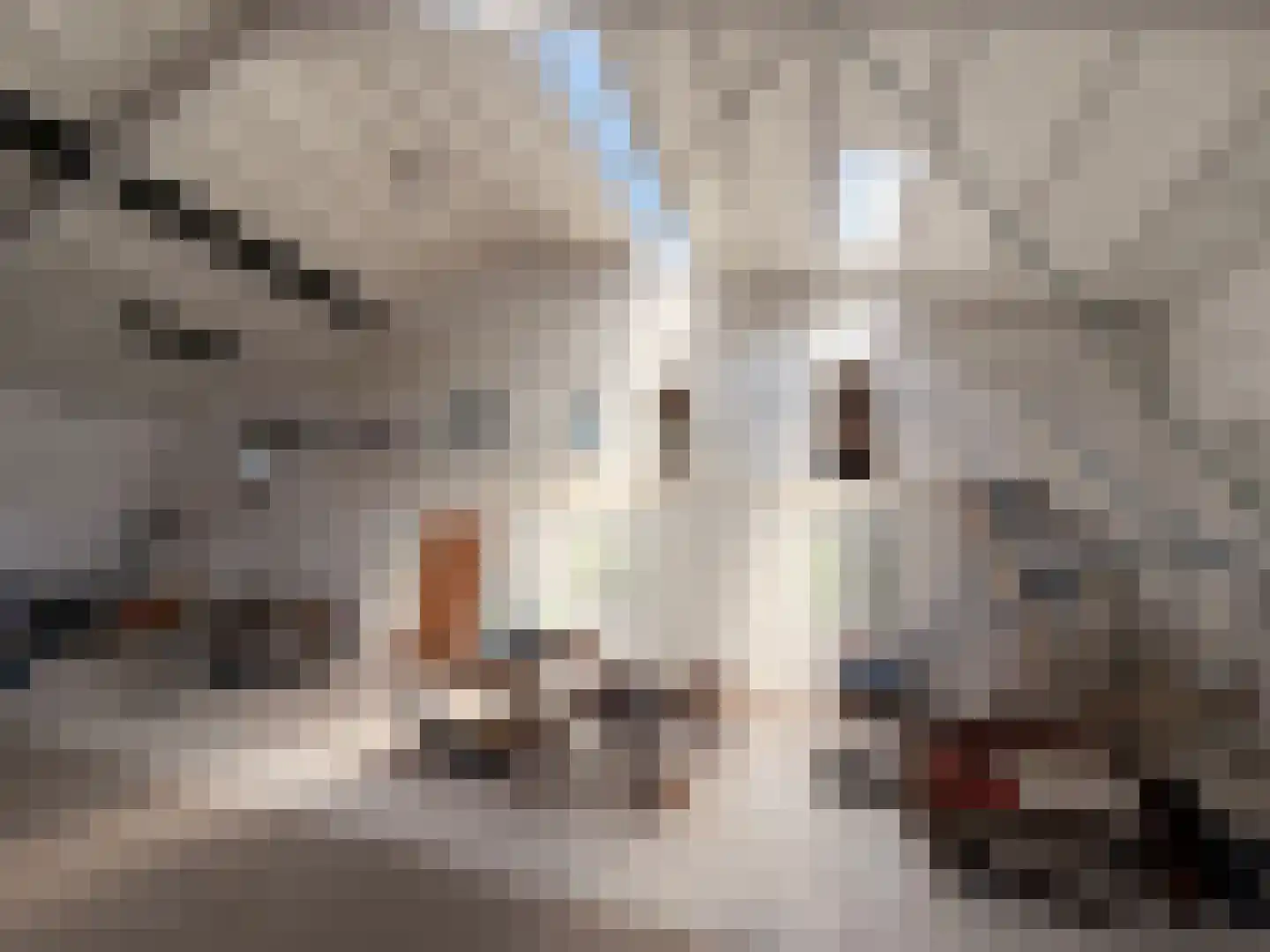 Draaibrug 6 Aardenburg thumbnail 4