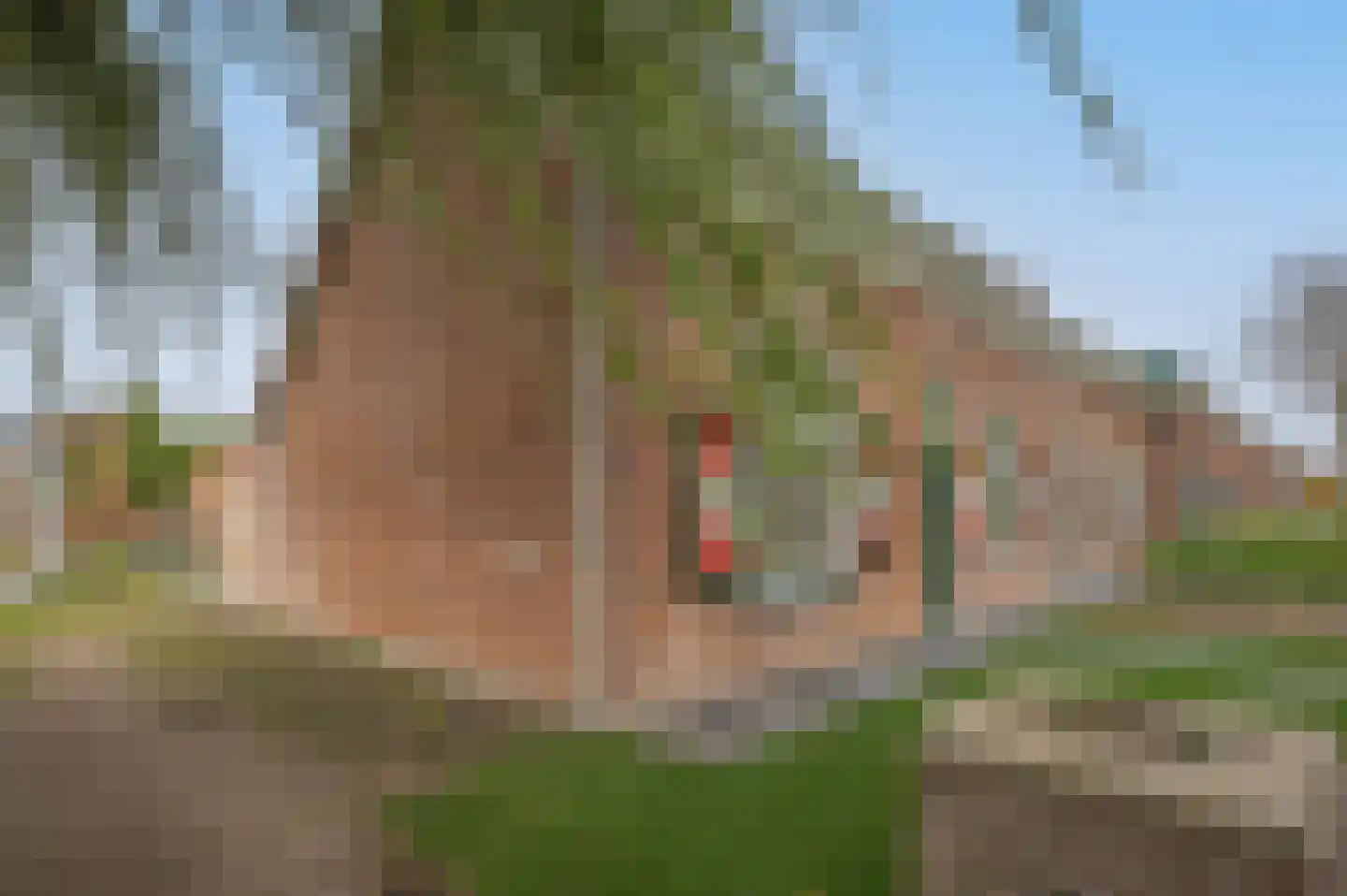 Draaibrug 65 Aardenburg thumbnail 5