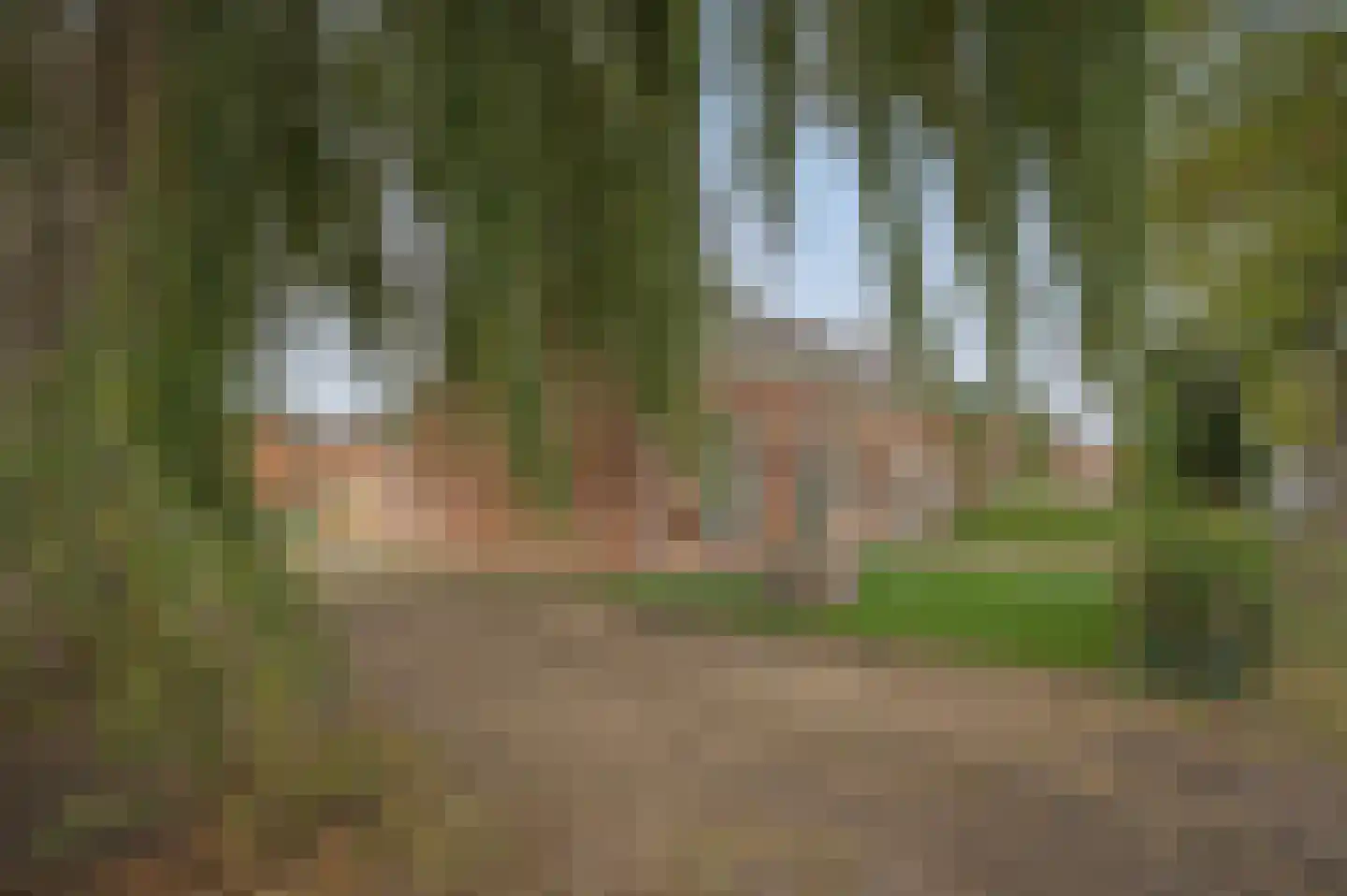 Draaibrug 65 Aardenburg thumbnail 6